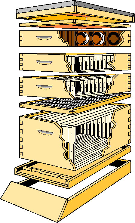 Langstroth Bee Hive Design