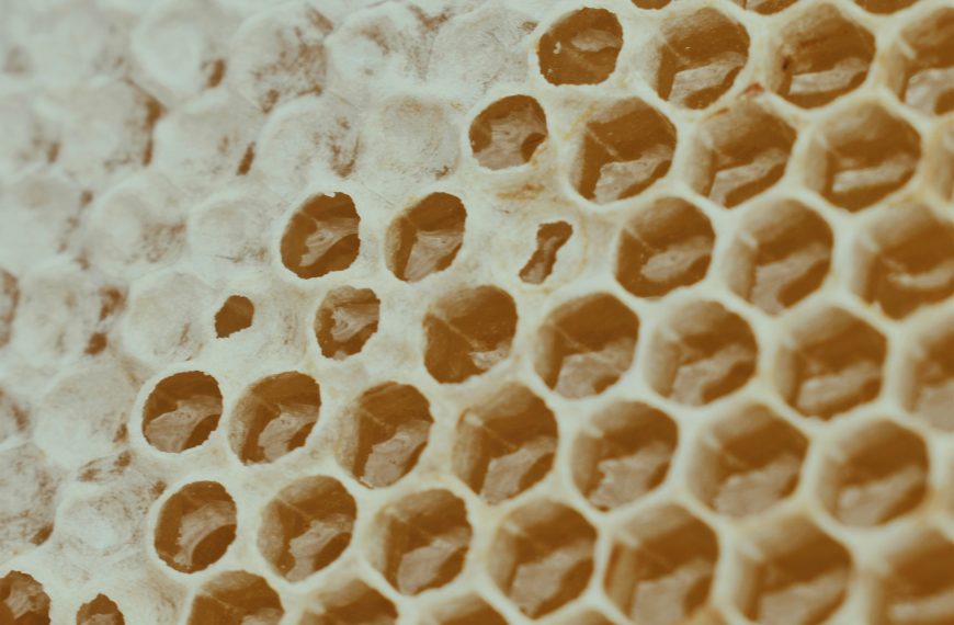 Can Honey Fight Off Infections?